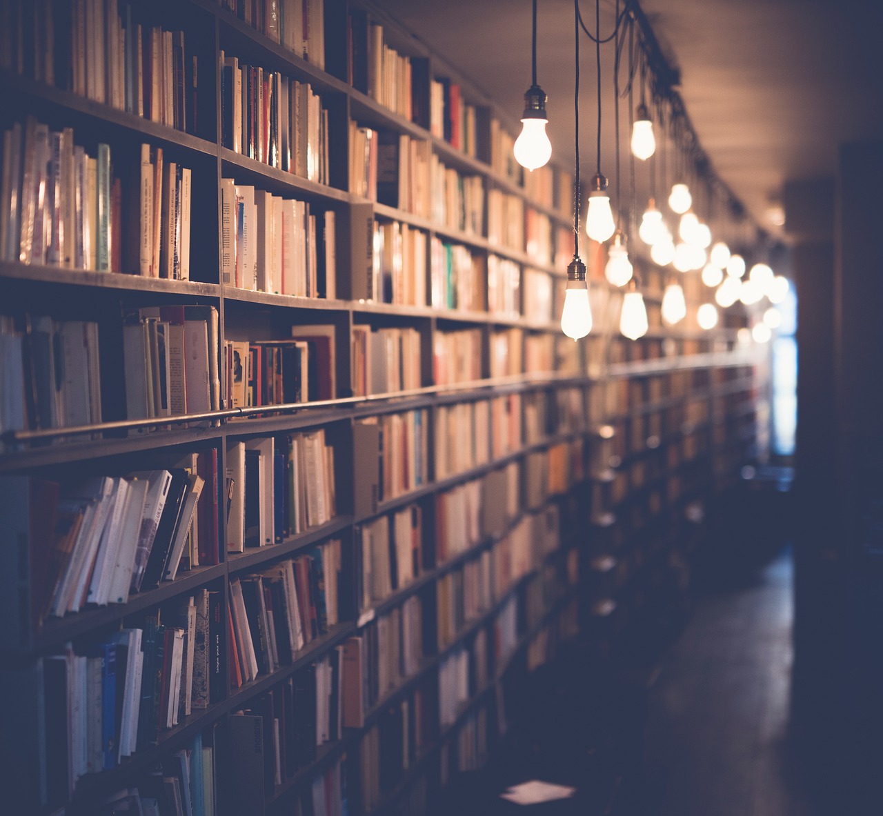 本が並んだ図書館の本棚