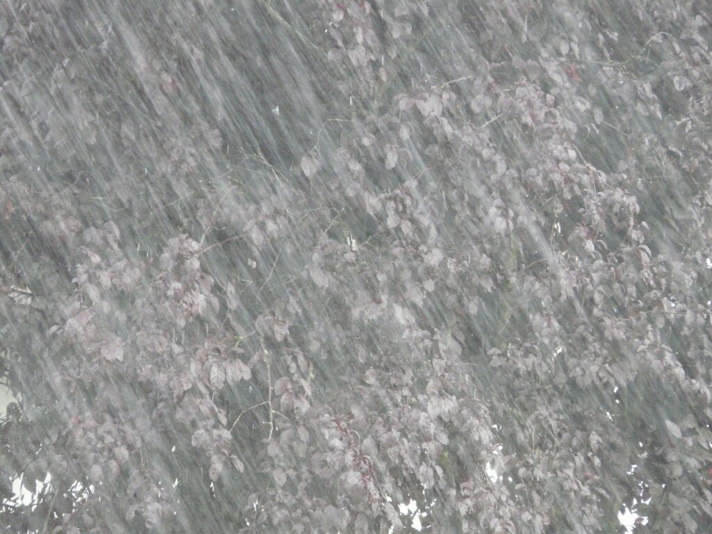 激しい雨が降り注ぐ様子